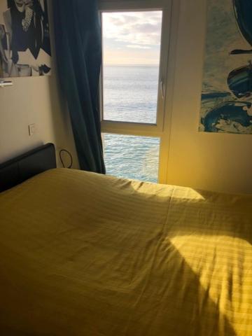 Appartement Cosy Les Pieds Dans L'Eau, Vue Mer Exceptionnelle Crozon Eksteriør billede